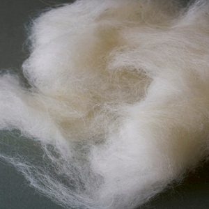 Bronte Lush Wool Filling - Double Scoured
